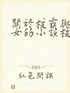 关于校霸与乖乖女的小说校园文