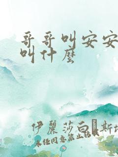哥哥叫安安弟弟叫什么