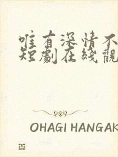 唯有深情不可负短剧在线观看