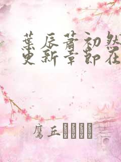 叶辰萧初然最新更新章节在线阅读