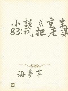 小说《重生1983:我把老婆宠成首富》