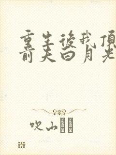 重生后我顶替了前夫白月光原著作者