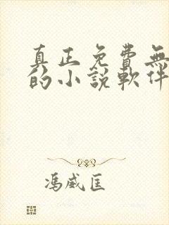 真正免费无广告的小说软件