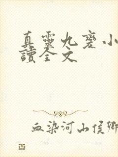 真灵九变小说阅读全文