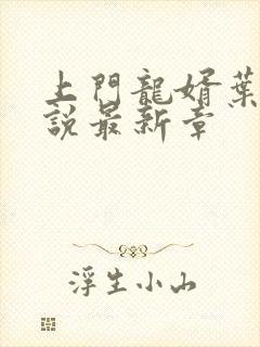 上门龙婿叶辰小说最新章