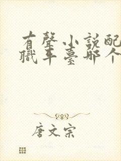 有声小说配音兼职平台哪个好