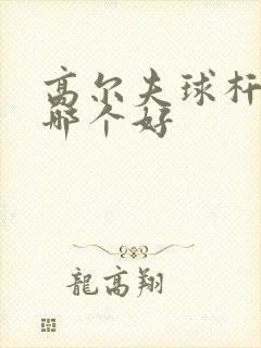 高尔夫球杆品牌哪个好