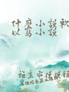 什么小说软件可以写小说