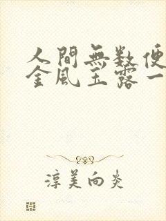 人间无数便胜却金风玉露一相逢什么意思