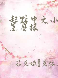 起点中文小说网怎么样