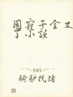 团宠千金又挨揍了小说