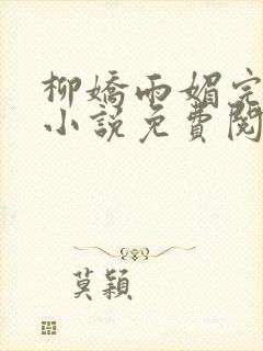 柳娇雨媚完结版小说免费阅读