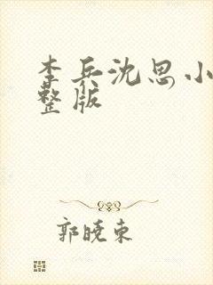 李兵沈思小说完整版