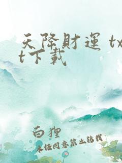 天降财运 txt下载