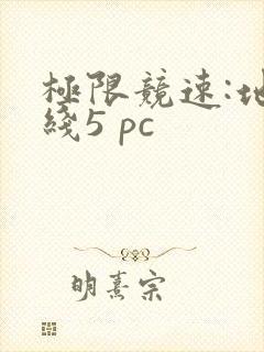 极限竞速:地平线5 pc