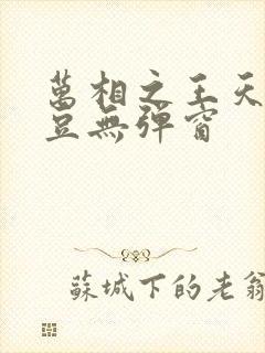 万相之王天蚕土豆无弹窗
