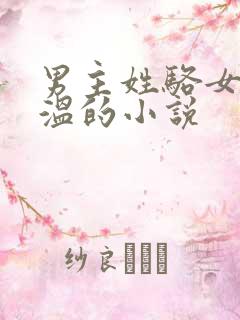 男主姓骆女主姓温的小说