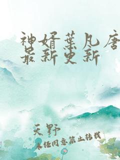 神婿叶凡唐若雪最新更新