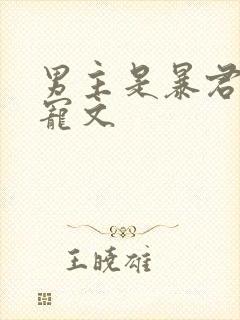 男主是暴君的甜宠文