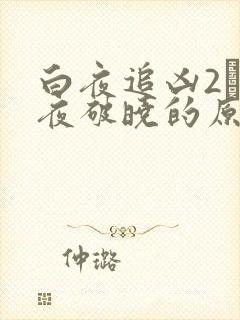 白夜追凶2·白夜破晓的原著