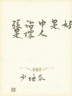 张治中是好人还是坏人