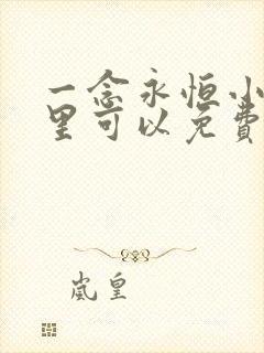 一念永恒小说哪里可以免费阅读