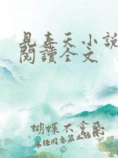 见春天小说免费阅读全文