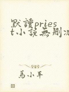 默读priest小说无删减正版在线阅读