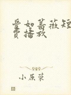 爱如蔷薇短剧免费播放