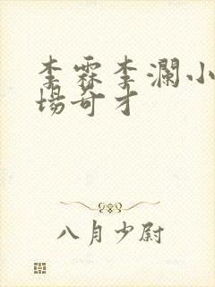 李霖李澜小说官场奇才