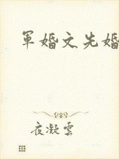 军婚文先婚后爱