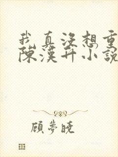 我真没想重生啊陈汉升小说无弹窗