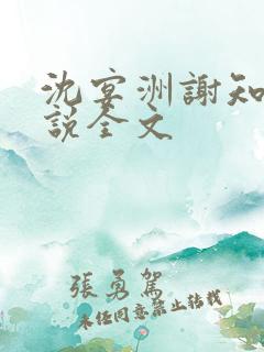 沈宴洲谢知意小说全文