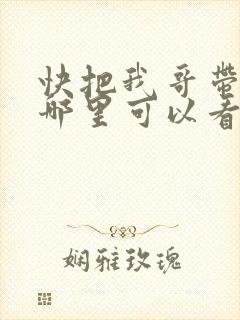 快把我哥带走在哪里可以看到