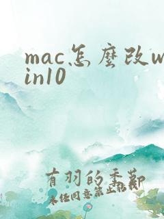 mac怎么改win10