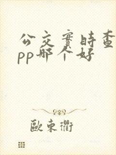 公交实时查询app哪个好
