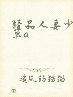 精品人妻少妇嫩草a