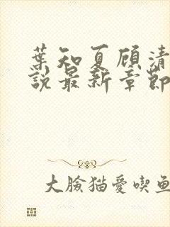 叶知夏顾清淮小说最新章节免费阅读