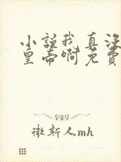 小说我真没想当皇帝啊免费阅读
