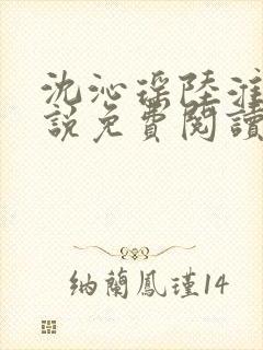 沈沁瑶陆淮川小说免费阅读最新章节