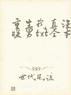 重生我真没想当暖男txt全本