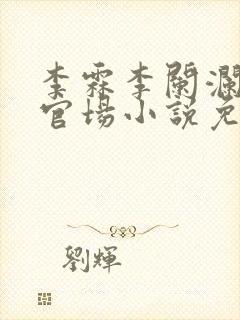 李霖李阑澜巅峰官场小说免费阅读