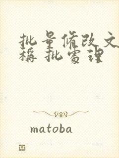 批量修改文件名称 批处理