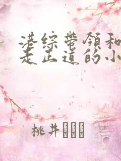 港综带领和联胜走正道的小说