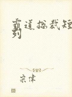 霸道总裁短剧系列
