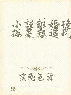 小说离婚后前夫总是想追我免费阅读