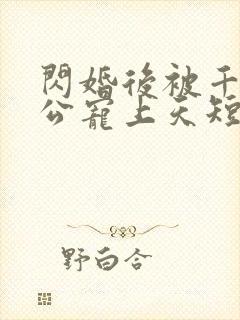 闪婚后被千亿老公宠上天短剧免费观看全集
