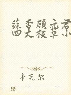 苏杳顾亦君国防四大校草小说