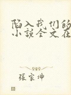 陷入我们的热恋小说全文在线阅读