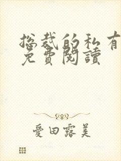 总裁的私有宝贝免费阅读